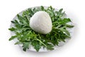 Mozzarella intera di Bufala Royalty Free Stock Photo
