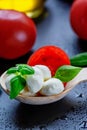 Mozzarella, red tomatoes and fresh Basil on a black background. top view. Flat lay. Food concept. Healthy and wholesome food Royalty Free Stock Photo