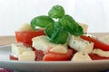 mozzarella salad with organic tomato