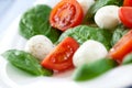 Mozzarella salad with spinach