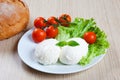 Mozzarella, salad and tomatoes