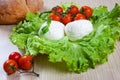 Mozzarella, salad and tomatoes