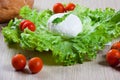 Mozzarella, salad and tomatoes