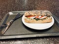 Mozzarella Sandwich in Poppy Seed Bread served with Tray. Royalty Free Stock Photo