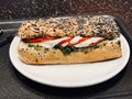 Mozzarella Sandwich in Poppy Seed Bread served with Tray. Royalty Free Stock Photo