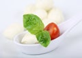 Mozzarella with tomato and basil Royalty Free Stock Photo