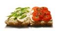 Mozzarella and tomatoes Royalty Free Stock Photo