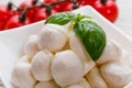 Mozzarella tomatoes and basil on a wooden rustic background Royalty Free Stock Photo