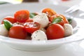 Mozzarella with tomatoes, italian herbs and salad leaves on a white plate on a table Royalty Free Stock Photo