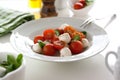 Mozzarella with tomatoes, italian herbs and salad leaves on a white plate on a table Royalty Free Stock Photo