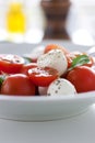 Mozzarella with tomatoes, italian herbs and salad leaves on a white plate on a table Royalty Free Stock Photo