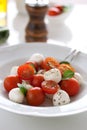 Mozzarella with tomatoes, italian herbs and salad leaves on a white plate on a table Royalty Free Stock Photo