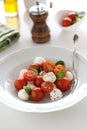 Mozzarella with tomatoes, italian herbs and salad leaves on a white plate on a table Royalty Free Stock Photo