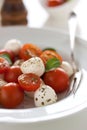 Mozzarella with tomatoes, italian herbs and salad leaves Royalty Free Stock Photo