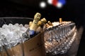 Moet & Chandon champagne tasting in event. Many glasses and bottles of champagne in to the ice with Moet & Chandon logo Royalty Free Stock Photo