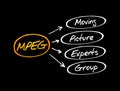 MPEG - Moving Picture Experts Group acronym