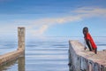 A black boy with a bag of fish around his neck is standing on the pier of Lake Tanganyika