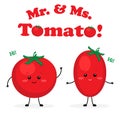 Mr and Ms Tomato Royalty Free Stock Photo