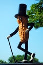 Mr Peanut Royalty Free Stock Photo