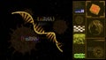 MRNA model on computer yellow monitor research and analysis for mRNA to protection COVID 19 mutation