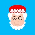Mrs. Claus face isolated. Christmas and New. Vector illustration Royalty Free Stock Photo