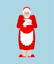 Mrs. Claus isolated. Christmas and New Vector illustration Royalty Free Stock Photo