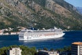 MSC Cruise Liner in Kotor Bay