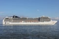 MSC Magnifica on the river Elbe