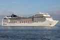 MSC Magnifica on the river Elbe