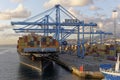 The MSC Michaela Container Ship being loaded at dawn at the Port of Las Palmas in Gran Canaria