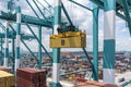 MSC owned container loaded by the gantry crane on the container ship.