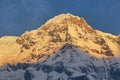 Mt Annapurna South in Nepal Royalty Free Stock Photo