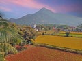 Mt Arunachala refers to the holy hill at Tiruvannamalai in Tamil Nadu India