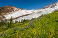 Mt. Baker and the Coleman Glacier