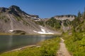 Mt. Baker National Forest