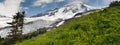 Mt. Baker Wildflowers Royalty Free Stock Photo