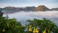 Mt. Bromo with fog Royalty Free Stock Photo