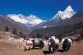 Mt. Everest, Mt. Lhotse, Mt. Nuptse and Mt. Ama Dablam shot from Tyangboche, Everest region, Nepal Royalty Free Stock Photo