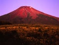 Mt fuji-428