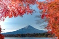 Mt Fuji in autumn behind the red maple tree from Lake Kawaguchi in Yamanashi Royalty Free Stock Photo