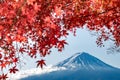 Mt Fuji in autumn behind the red maple tree from Lake Kawaguchiko in Yamanashi Royalty Free Stock Photo