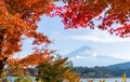 Mt. Fuji and autumn foliage at Lake Kawaguchi Royalty Free Stock Photo