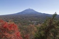 Mt.Fuji in autumn, Japan Royalty Free Stock Photo