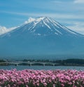 Mt. Fuji