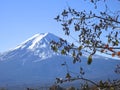 Mt. Fuji With Berries