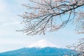 Mt. Fuji Royalty Free Stock Photo