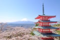 Mt Fuji and Cherry Blossom in Japan Spring Season Japanese Cal