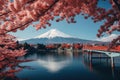 Mt Fuji and Cherry Blossom at Kawaguchiko lake in Japan, Beautiful Fuji mountain and lake landscape view with colorful tree leaves Royalty Free Stock Photo