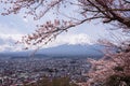 Mt.fuji with cherry blossom and yellow grass in a cloudy day. A landscape in Japan with its remarkable mountain.