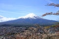 Mt. Fuji and cherry blossoms